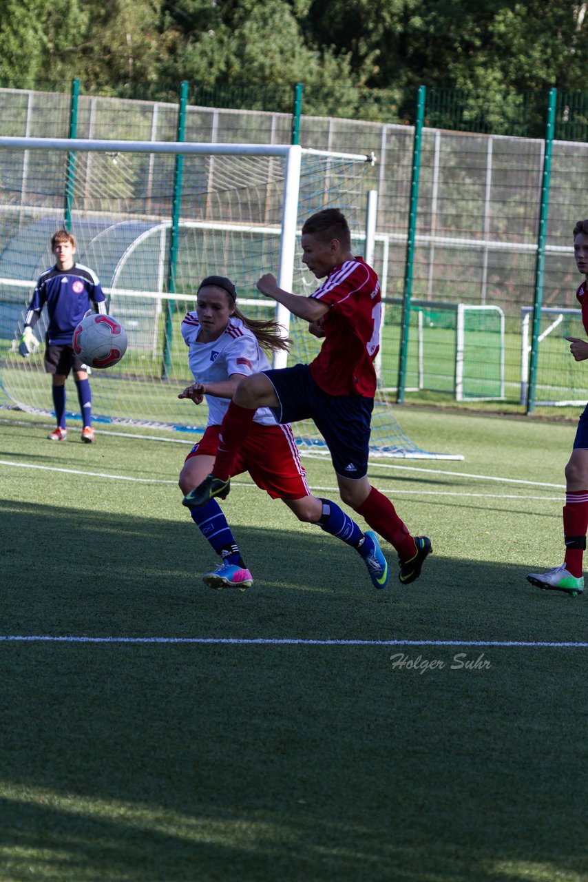 Bild 201 - Frauen HSV - cJun Eintracht Norderstedt : Ergebnis: 1:16